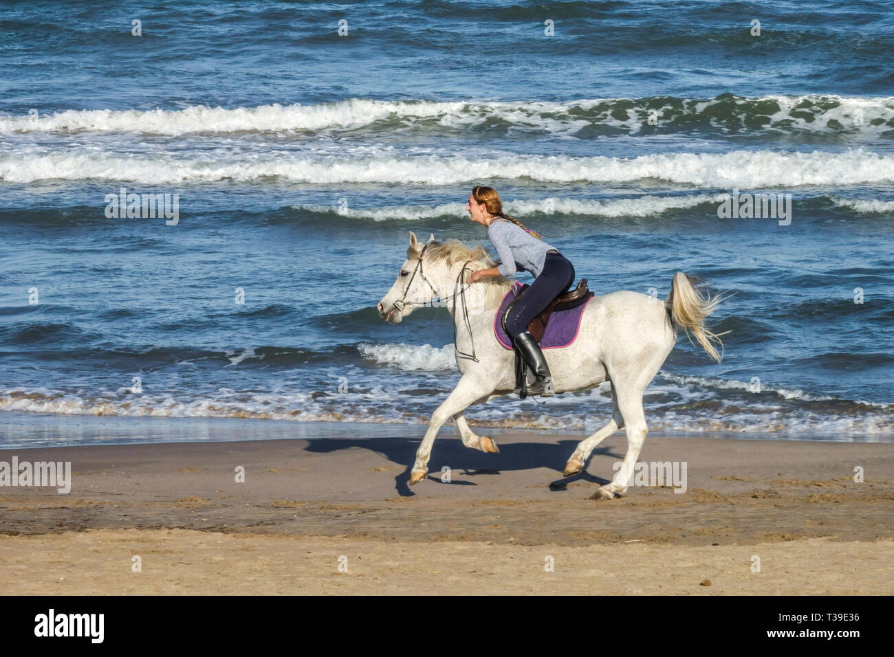 Femme cheval sur une plage rapide, côte Espagne Europe cavalier cheval, femme sur blanc cheval Banque D'Images