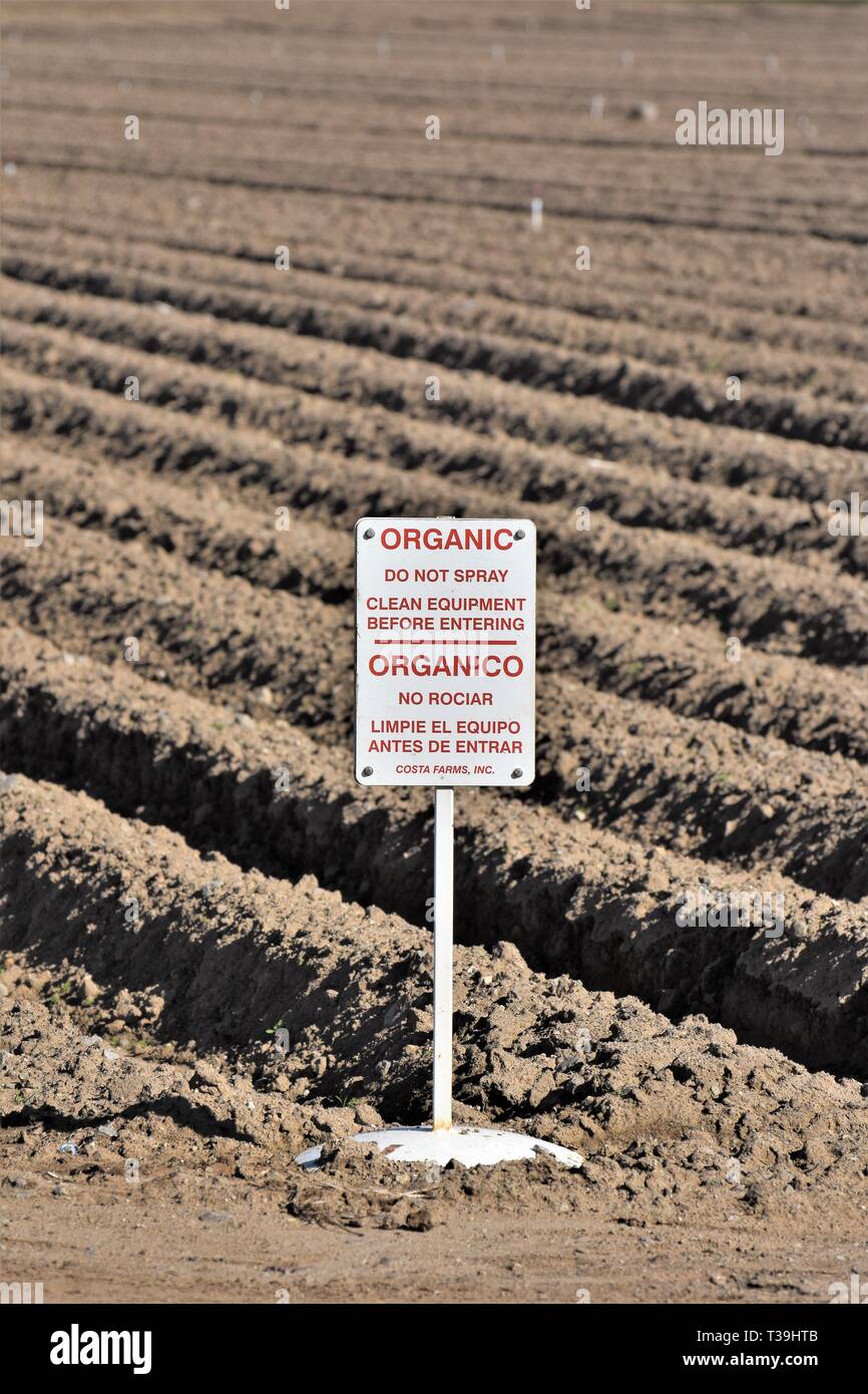 La culture biologique champ agricole Inscrivez-vous à la fois en anglais et en espagnol pour laisser hors de tout ce qui n'est pas pour les produits alimentaires issus de l'Amérique Etats-unis Californie Banque D'Images