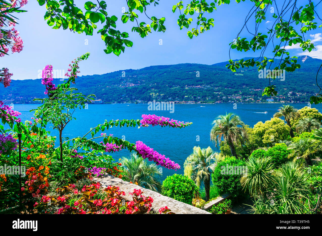Belle vue sur le Lac Majeur, avec des plantes et des fleurs,Italie. Banque D'Images