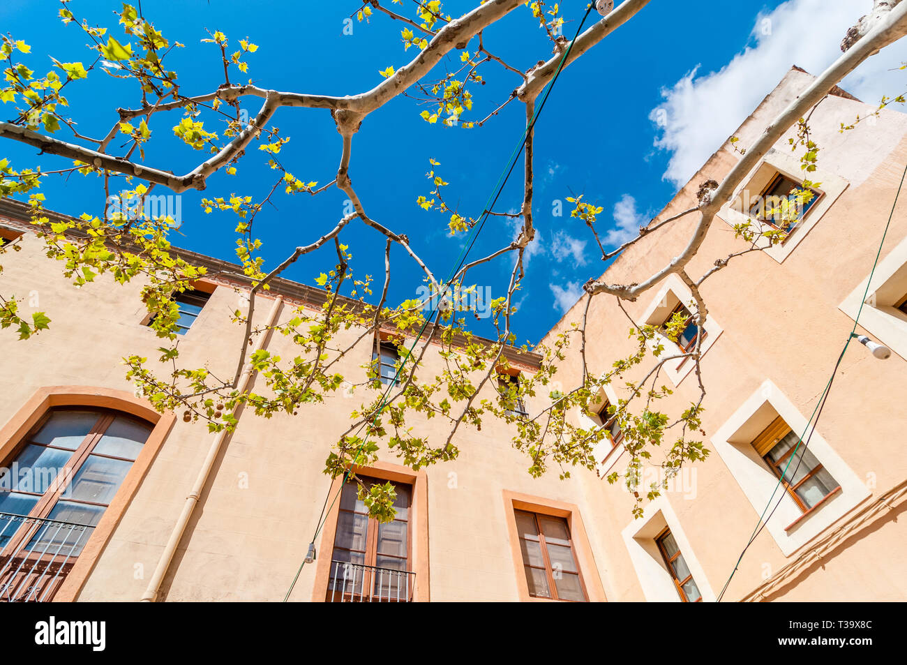 De construction ci-dessous et arbre, Montblanc, Catalogne, Espagne Banque D'Images