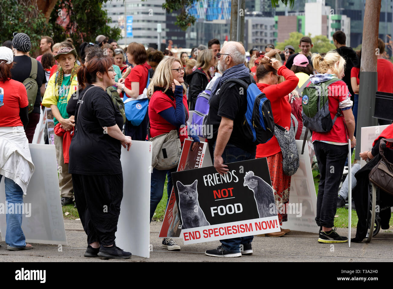 Des centaines de défenseurs des droits des animaux se sont rassemblées dans le quartier d'affaires de Melbourne le 6 avril 2019, Victoria en Australie. Banque D'Images