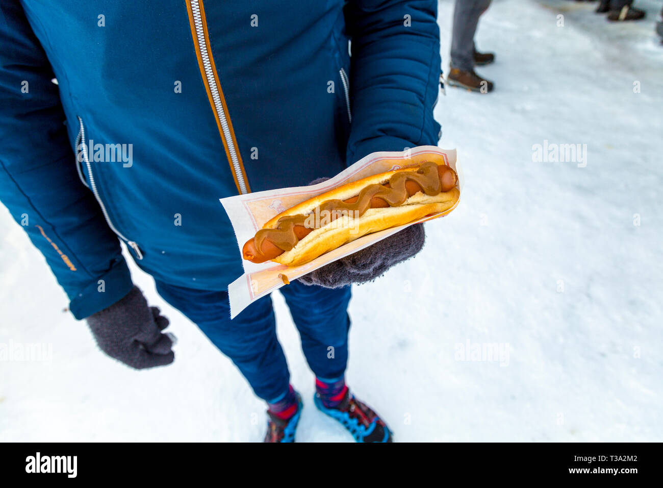 Homme tenant un agneau bio style islandais, du port et de la viande bovine hot dog Banque D'Images