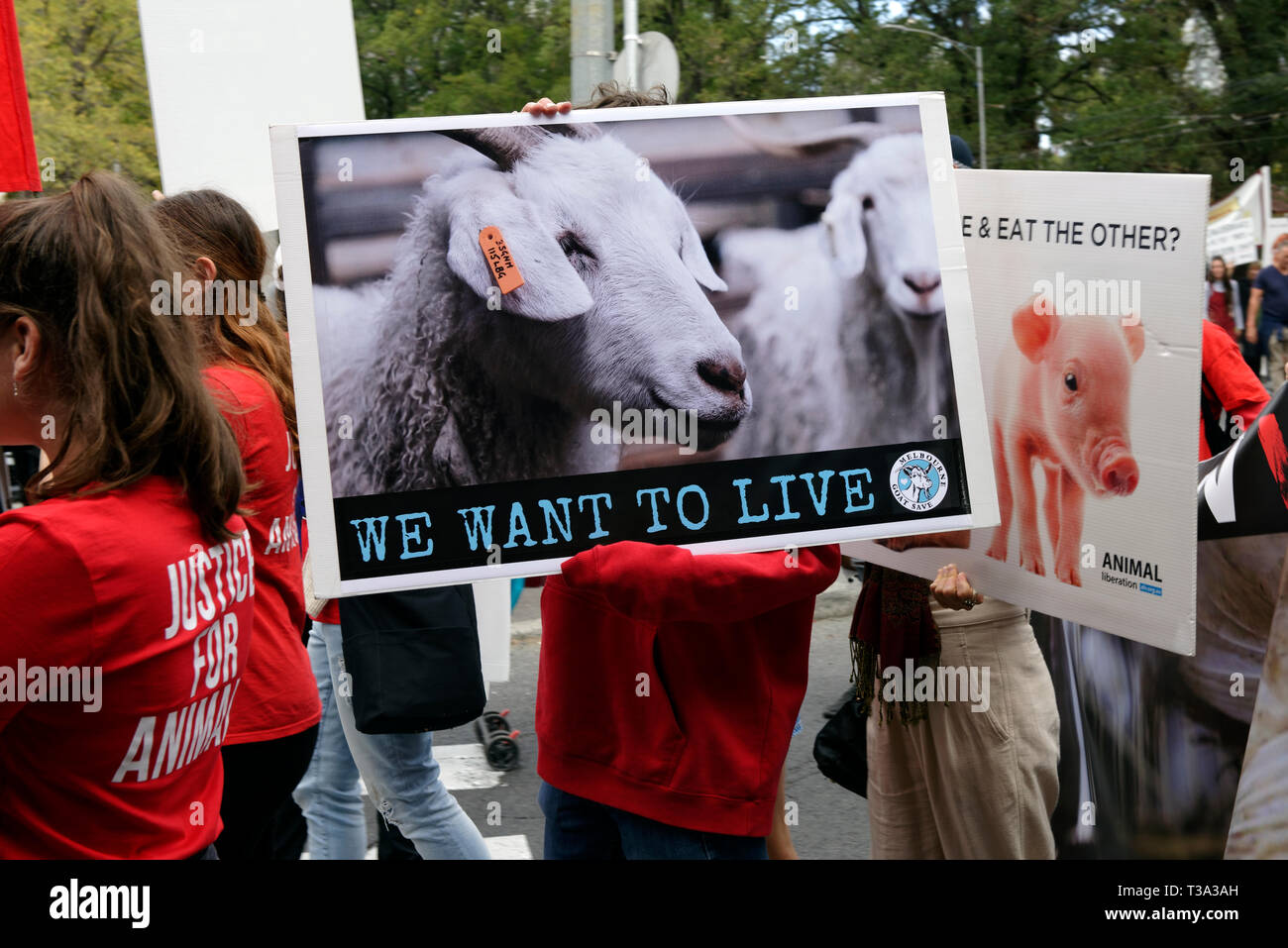 Des centaines de défenseurs des droits des animaux se sont rassemblées dans le quartier d'affaires de Melbourne le 6 avril 2019, Victoria en Australie. Banque D'Images