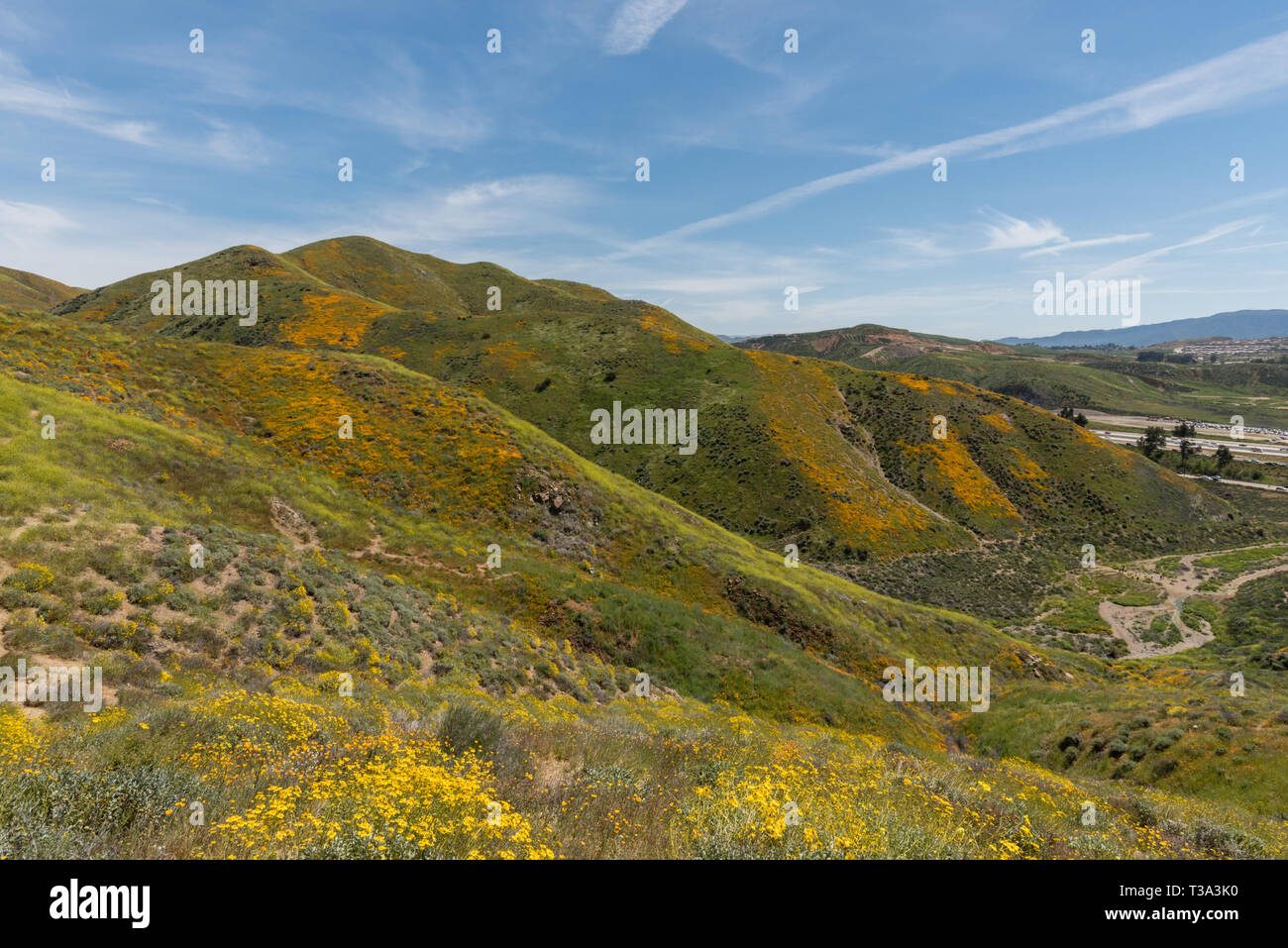 Bel superbloom vista dans une chaîne de montagnes près de Lake Elsinore, Californie du Sud Banque D'Images
