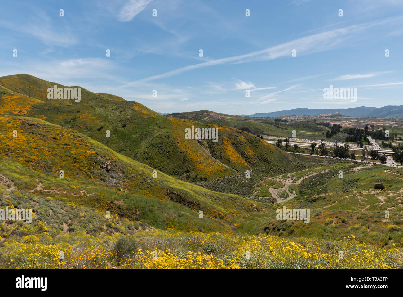 Bel superbloom vista dans une chaîne de montagnes près de Lake Elsinore, Californie du Sud Banque D'Images