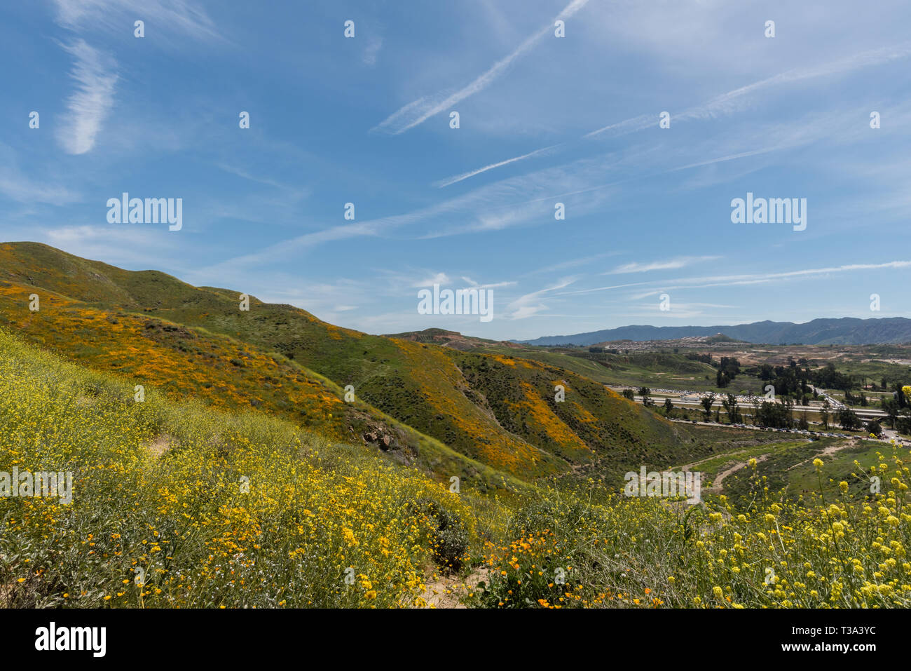 Bel superbloom vista dans une chaîne de montagnes près de Lake Elsinore, Californie du Sud Banque D'Images