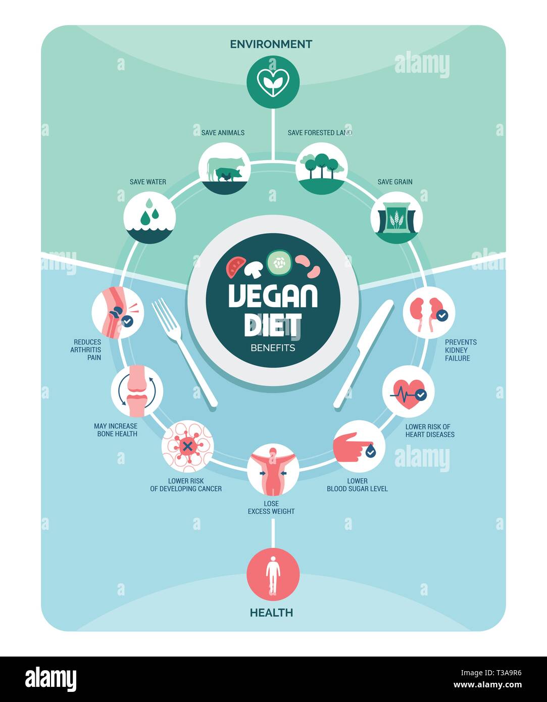 Alimentation végétalienne avantages : protection de l'environnement, la prévention des maladies et la santé de l'organisme Illustration de Vecteur Alimentation végétalienne avantages : protection de l'environnement, la prévention des maladies et la santé de l'organisme Illustration de Vecteur