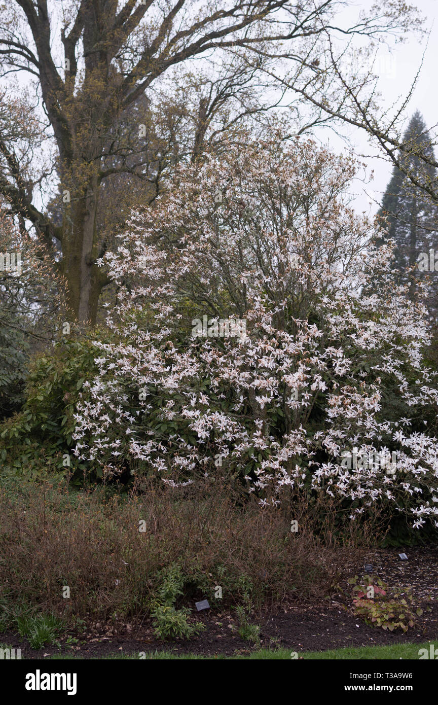 Wakehurst Place East Sussex National Trust Banque D'Images