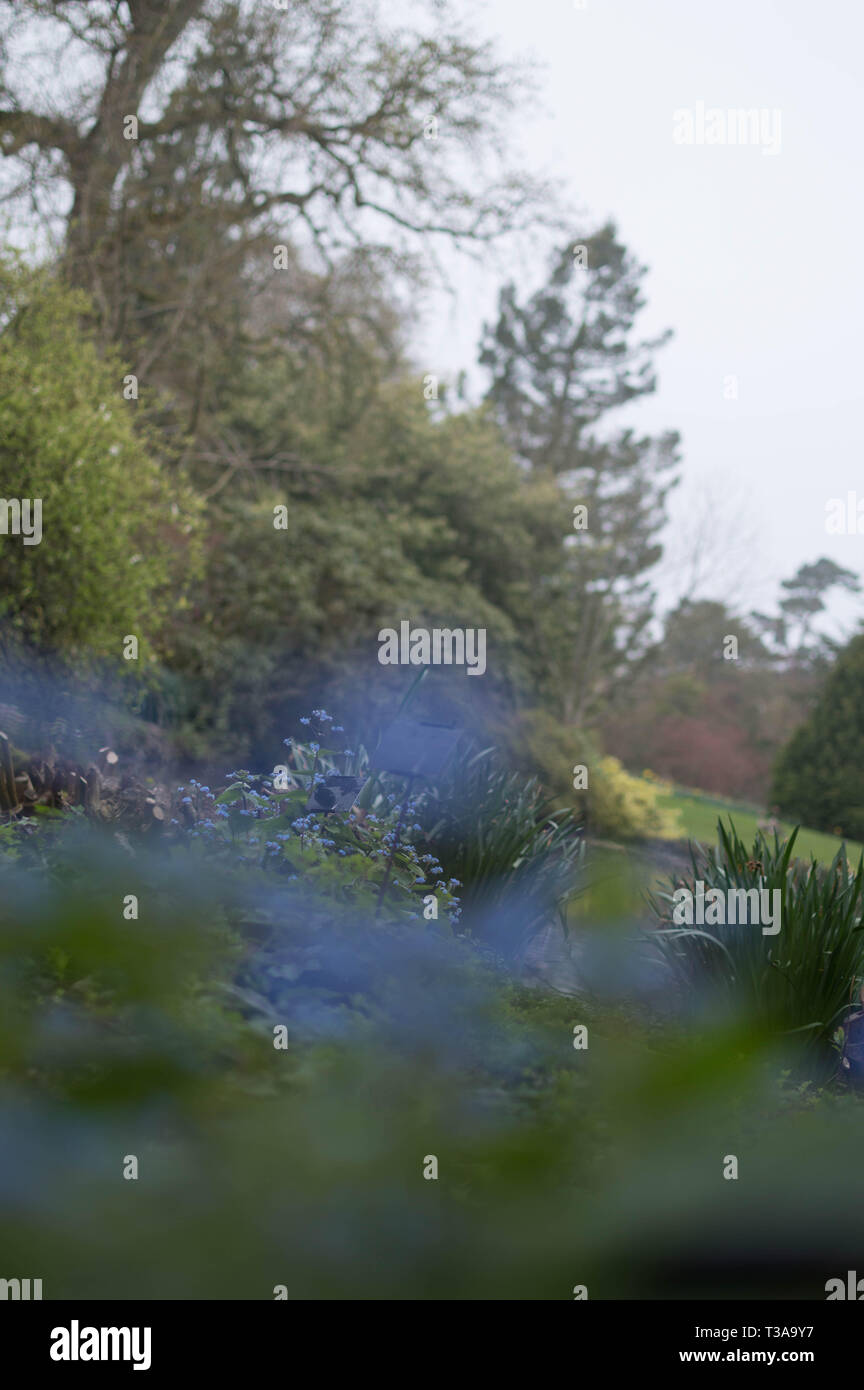 Wakehurst Place East Sussex National Trust Banque D'Images
