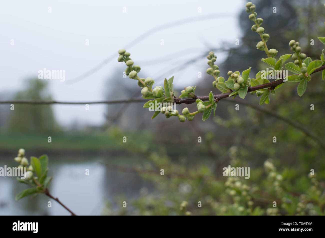 Wakehurst Place East Sussex National Trust Banque D'Images