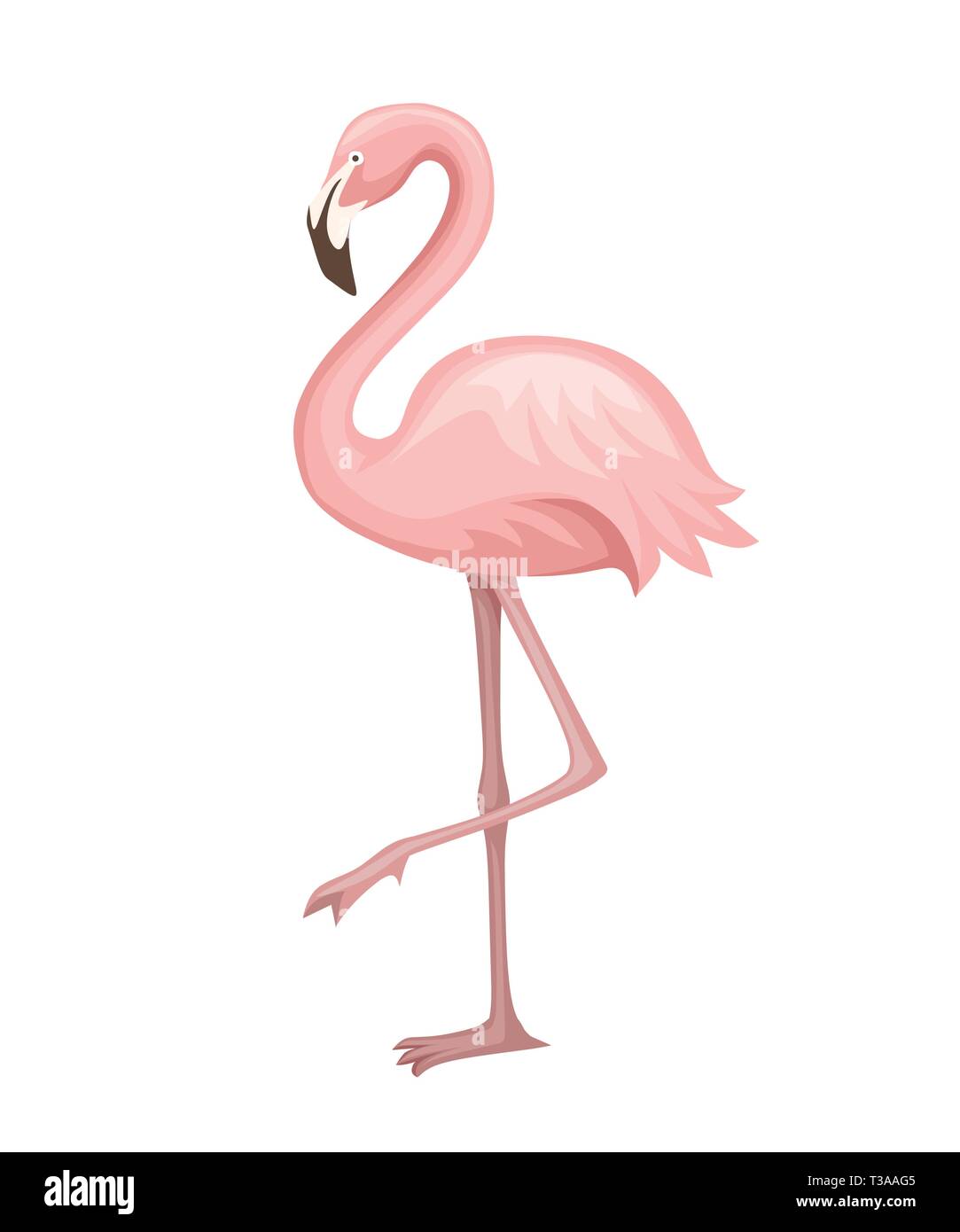 Cute animal, peach pink Flamingo. Cartoon animal character design. Télévision vector illustration isolé sur fond blanc. Flamingo debout sur une jambe Illustration de Vecteur