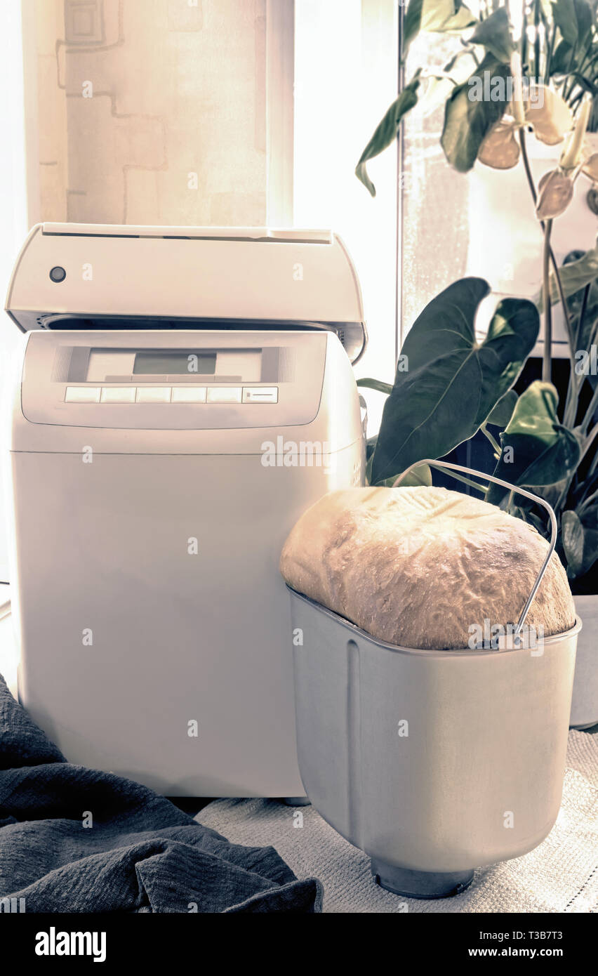 Four électrique pour la cuisson du pain à la maison Banque D'Images