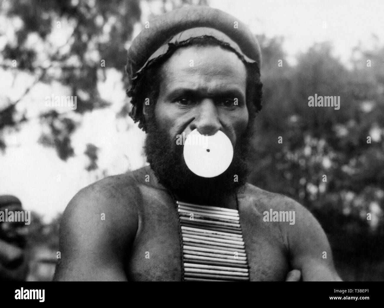Guinée, le shell dans le nez et des bâtons sur la poitrine donner de l'autorité de l'utilisateur, 1952 Banque D'Images
