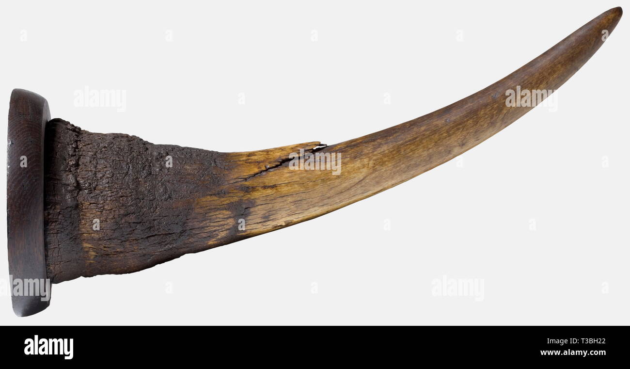 Une corne de rhinocéros, de l'Afrique vers 1900 grande corne d'un rhinocéros. Les deux tiers le tiers inférieur, poli avec un naturel, la structure de surface. Les petites fissures d'âge ainsi qu'une grande fissure sur l'intérieur de la corne, la flexion. Monté sur un socle en bois, de l'autre un anneau de suspension. Longueur mesurée le long de la courbure 45 cm. Poids 1,65 kg (y compris le conseil de montage en bois). Certification CITES. disponibles, historique, historique des années 1900, 20e siècle, 19e siècle, Artisanat, Artisanat, Artisanat, objet, objets, alambics, clipping, Additional-Rights Clearance-Info-clipp,-Not-Available Banque D'Images