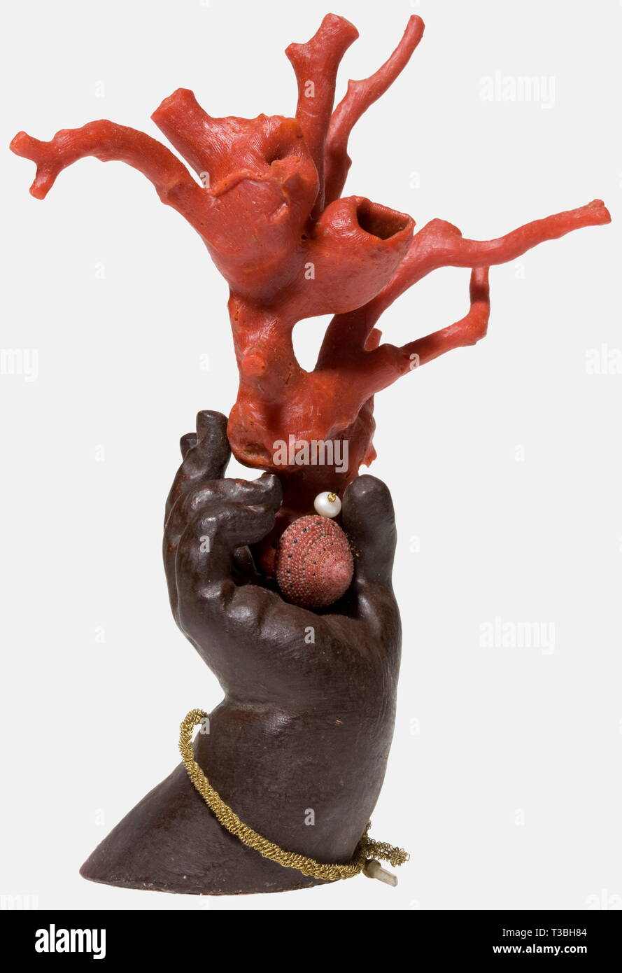 Une main sculptée avec coral, le sud de l'Italie, 19e siècle, le corail rouge robuste monté sur une couleur sombre et sculpté main faite de fruitwood avec un bracelet fil d'or et en ajoutant, petit cristal de roche. Hauteur totale 16 cm., historique, historique du 19e siècle, Artisanat, Artisanat, Artisanat, objet, objets, alambics, clipping, coupures, cut out, cut-out, cut-outs, beaux-arts, art, artistique, Additional-Rights Clearance-Info-Not-Available- Banque D'Images