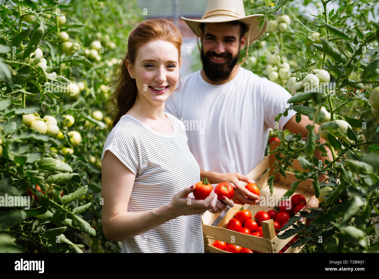 Jeune couple d'agriculteurs travaillant dans les émissions de Banque D'Images