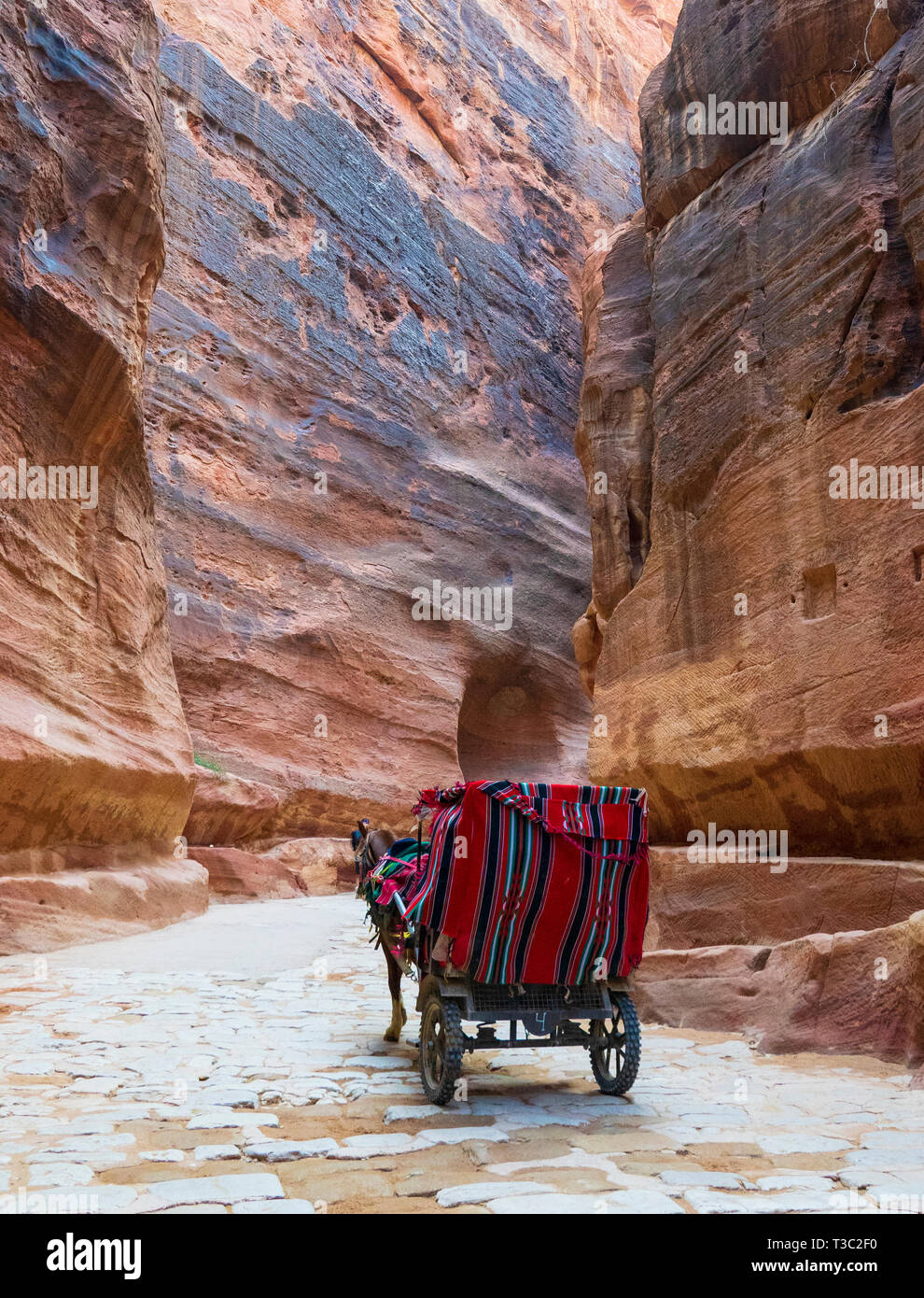 Un cheval transport de touristes dans le siq le canyon menant à l'entrée principale de l'ancienne ville nabatéenne de Pétra, en Jordanie. Banque D'Images