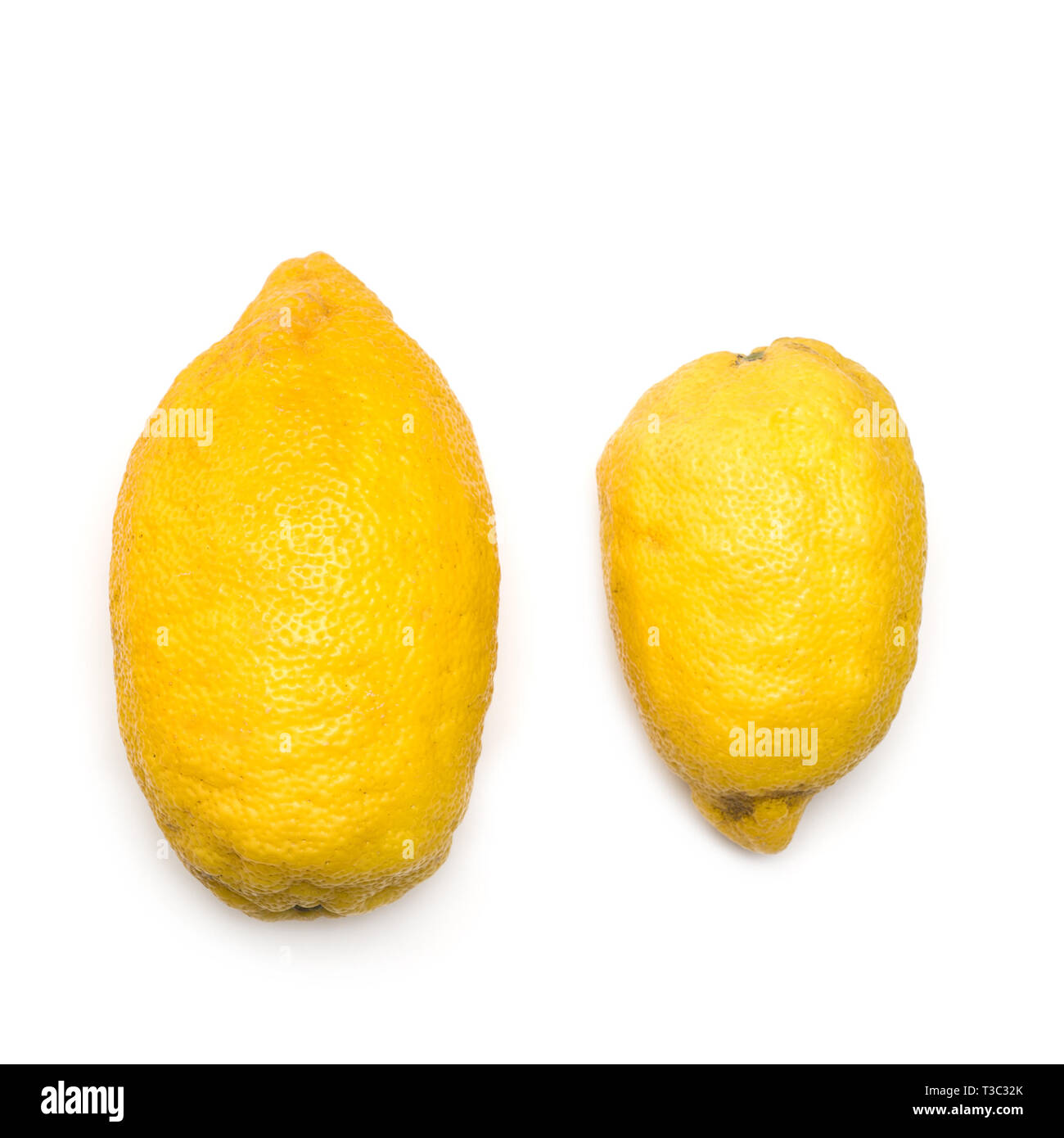 Quartier branché de citrons bio laid accueil jardin. Concept de saine alimentation.télévision légumes vitamines vegan. Banque D'Images