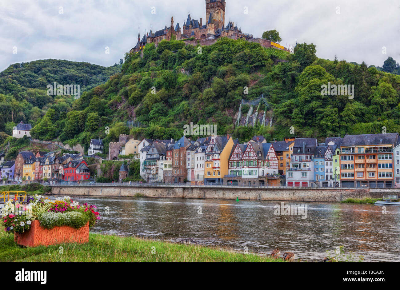 Vue sur la Moselle à la vieille ville de Cochem avec son château médiéval dans l'arrière-plan. Banque D'Images