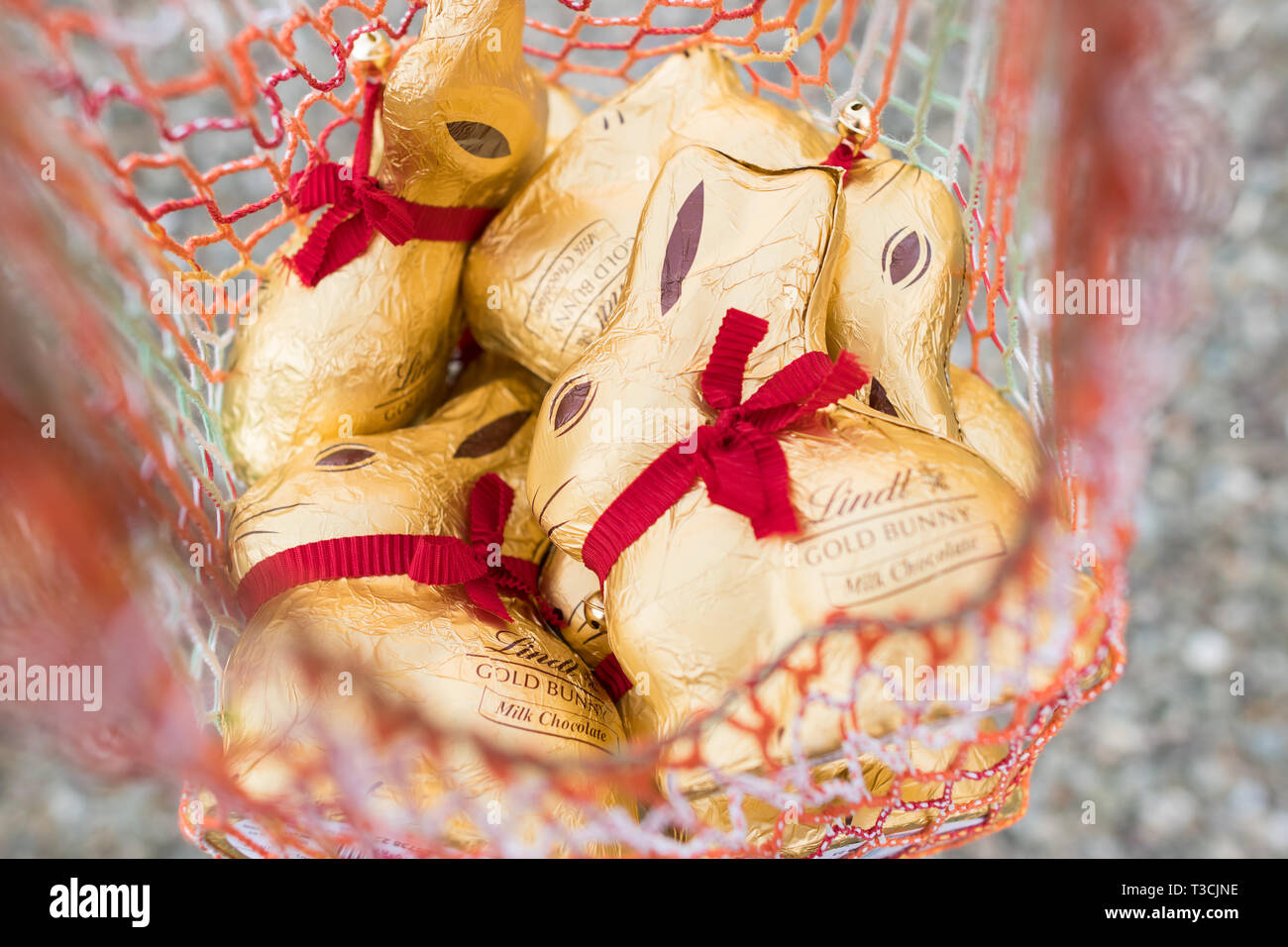 Lapins or de Lindt dans panier Banque D'Images