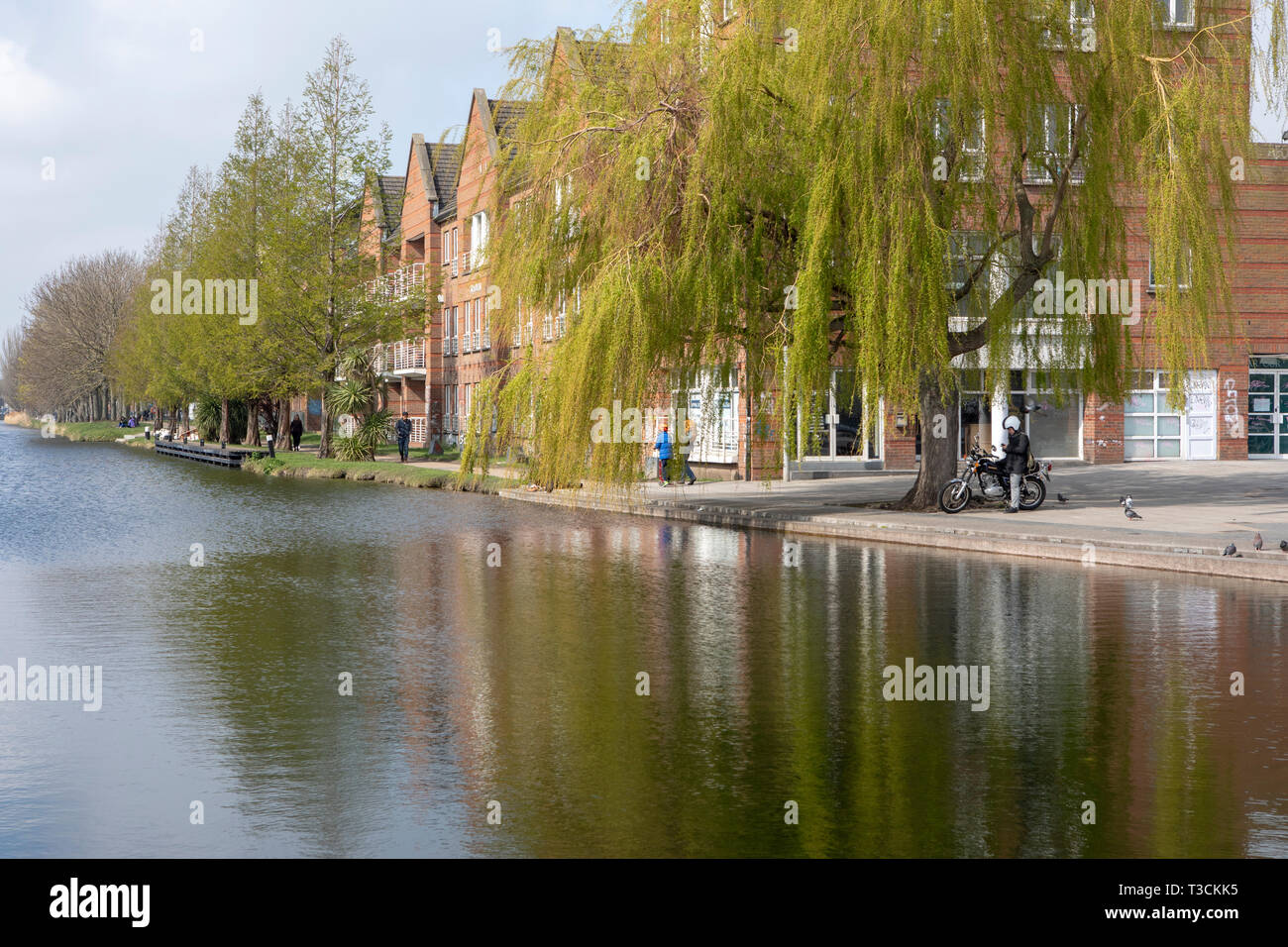 Port de Portobello sur le Grand Canal de Dublin Banque D'Images