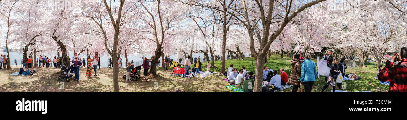 Visiteurs profitez des fleurs et un temps magnifique, dans la partie la plus ancienne de cerisiers au Tidal Basin à Washington, DC, le 3 avril 2019 Banque D'Images