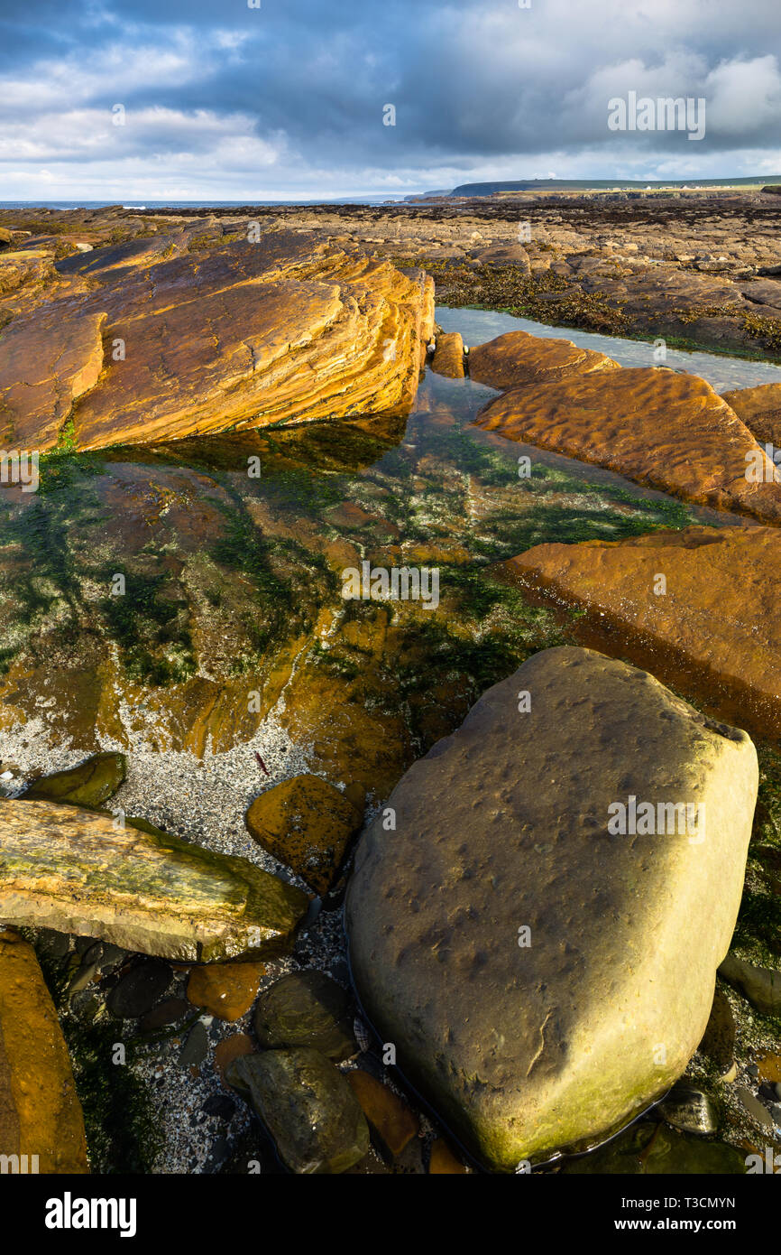 Rock formation au Brough de Birsay, Mainland, Orkney Islands. Banque D'Images