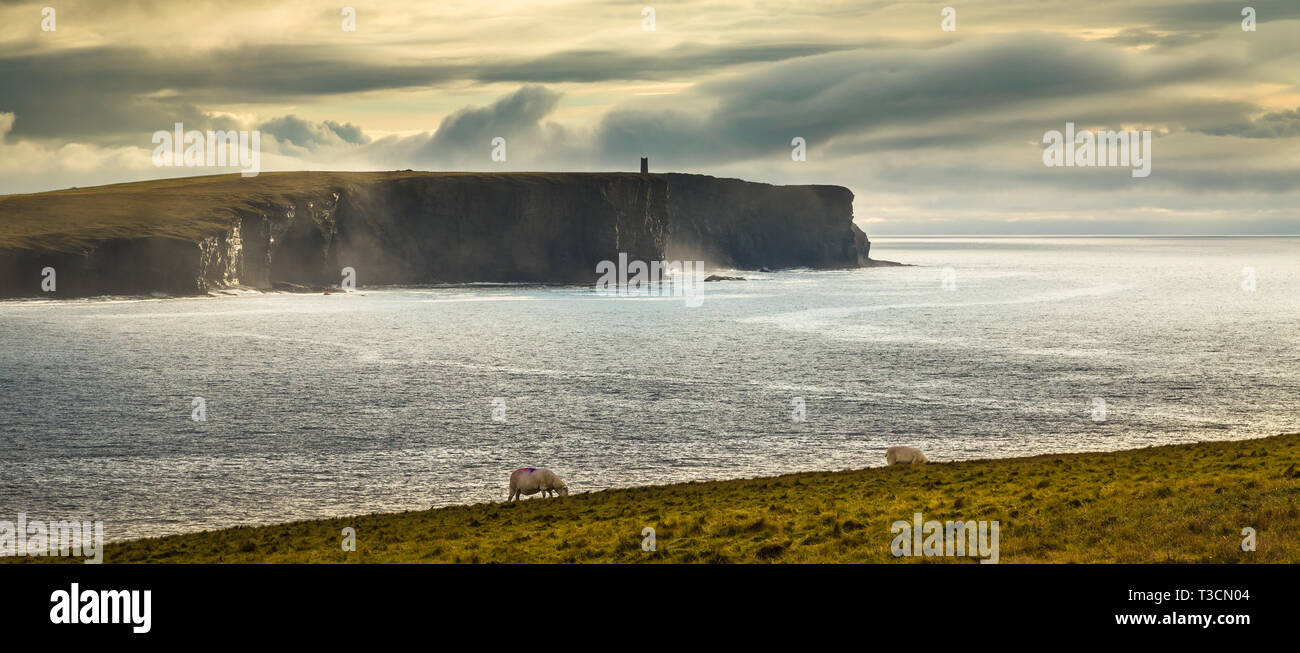 Marwick Head et le Kitchener Memorial, à partir de la Brough de Birsay, Orkney Islands. Banque D'Images