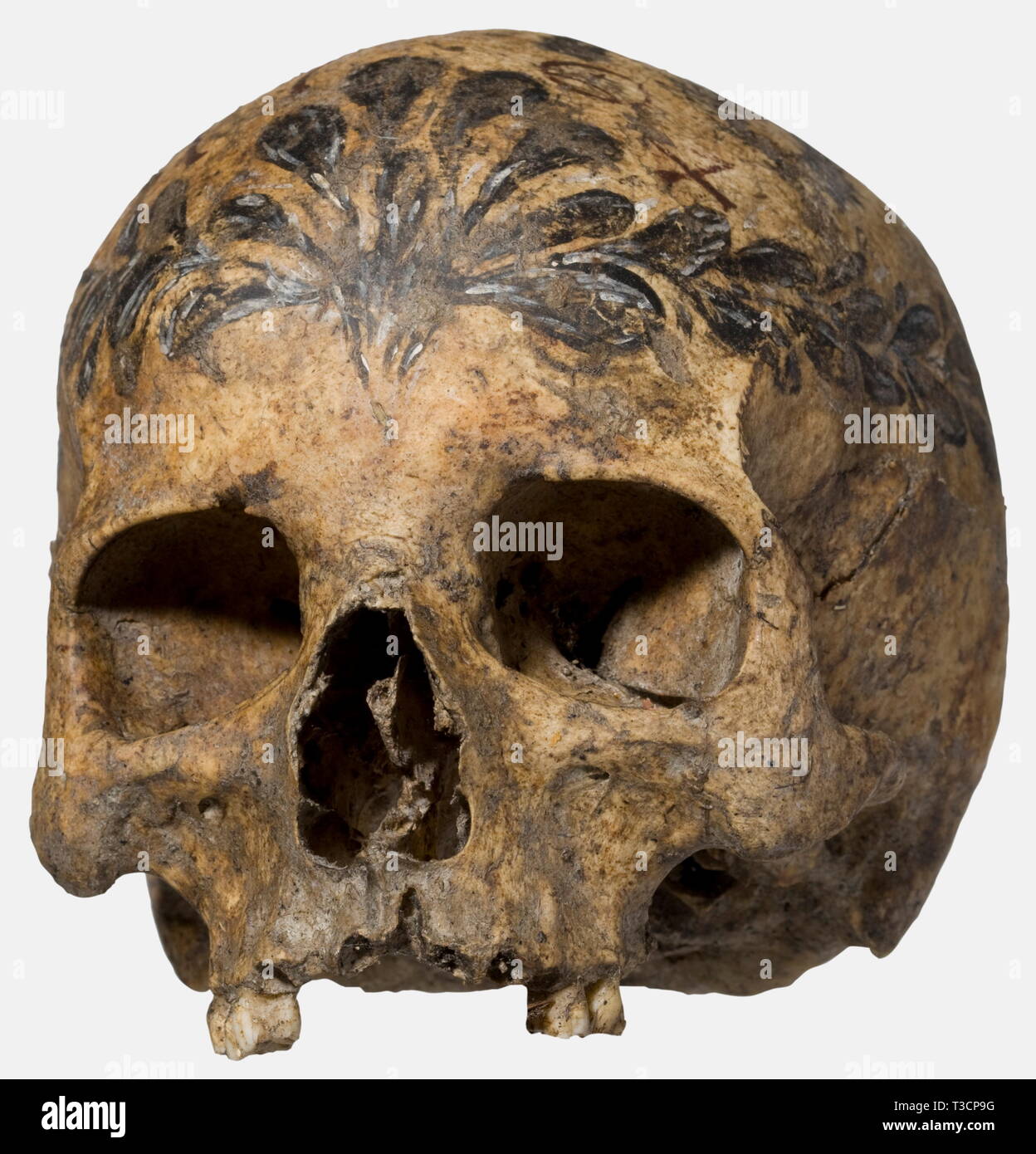 Un ossuaire du crâne, l'allemand ou autrichien, datée du 1764 crâne féminin sans mâchoire inférieure. Le calot avec différentes couleurs de peintures. Sur la couronne le christogram "IHS", la date '1764' en face de cela. Couronne de feuillage environnant. Hauteur 14,5 cm., historique, historique du 18e siècle, Artisanat, Artisanat, Artisanat, objet, objets, alambics, clipping, coupures, cut out, cut-out, cut-outs,-Additional-Rights Clearance-Info-Not-Available Banque D'Images
