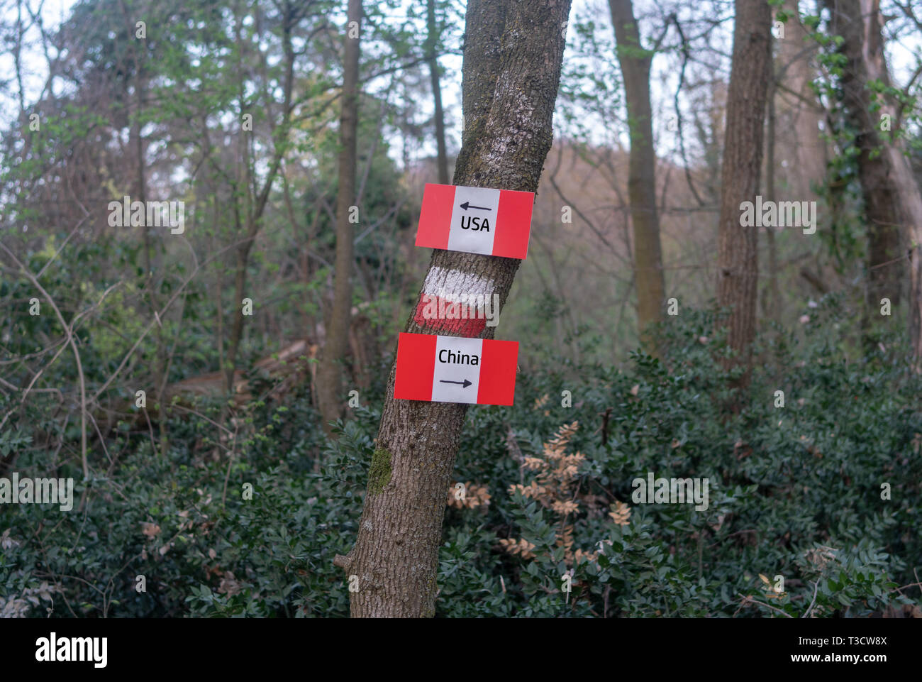 USA et Chine guerre commerciale concept - dans un monde que les signaux de la forêt attire l'chemin des deux rivaux économiques Banque D'Images