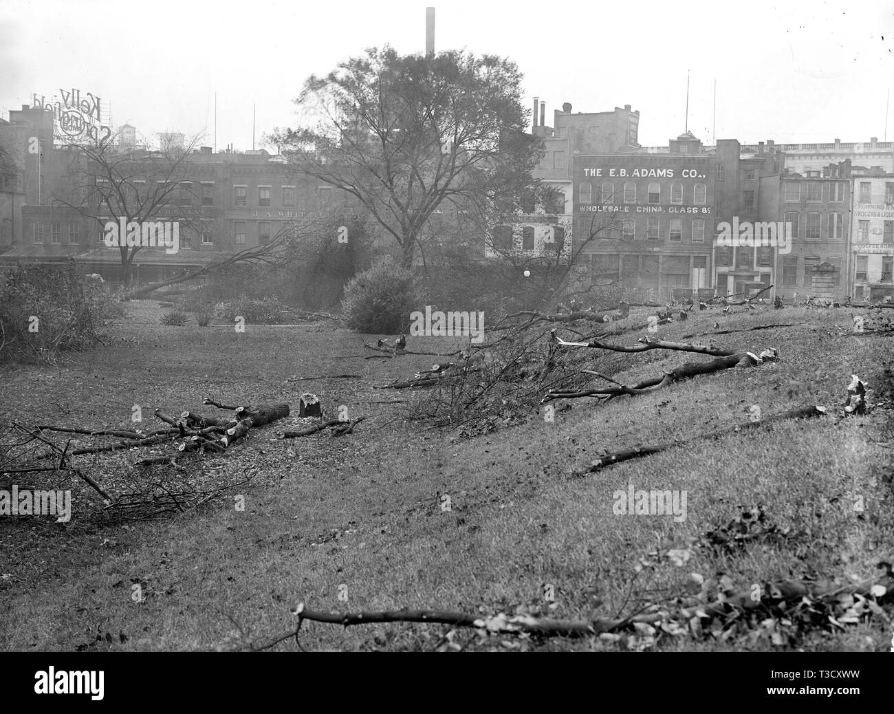 District de Columbia Parcs - la coupe des arbres sur des sites centre commercial pour les nouveaux bâtiments de guerre ca. 1917 Banque D'Images