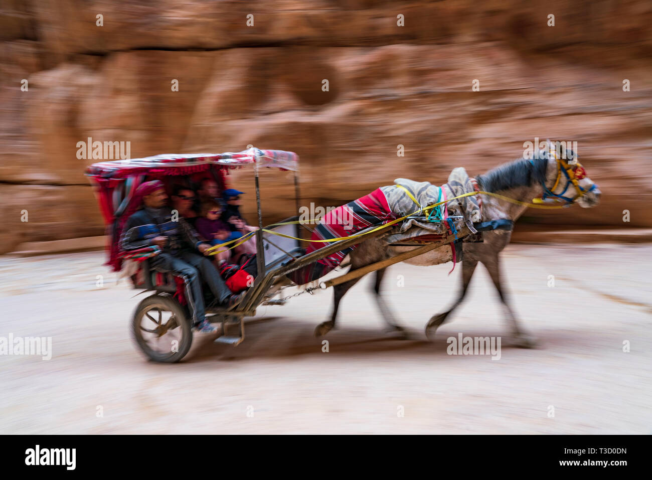 Un cheval transport de touristes dans le siq le canyon menant à l'entrée principale de l'ancienne ville nabatéenne de Pétra, en Jordanie. Banque D'Images