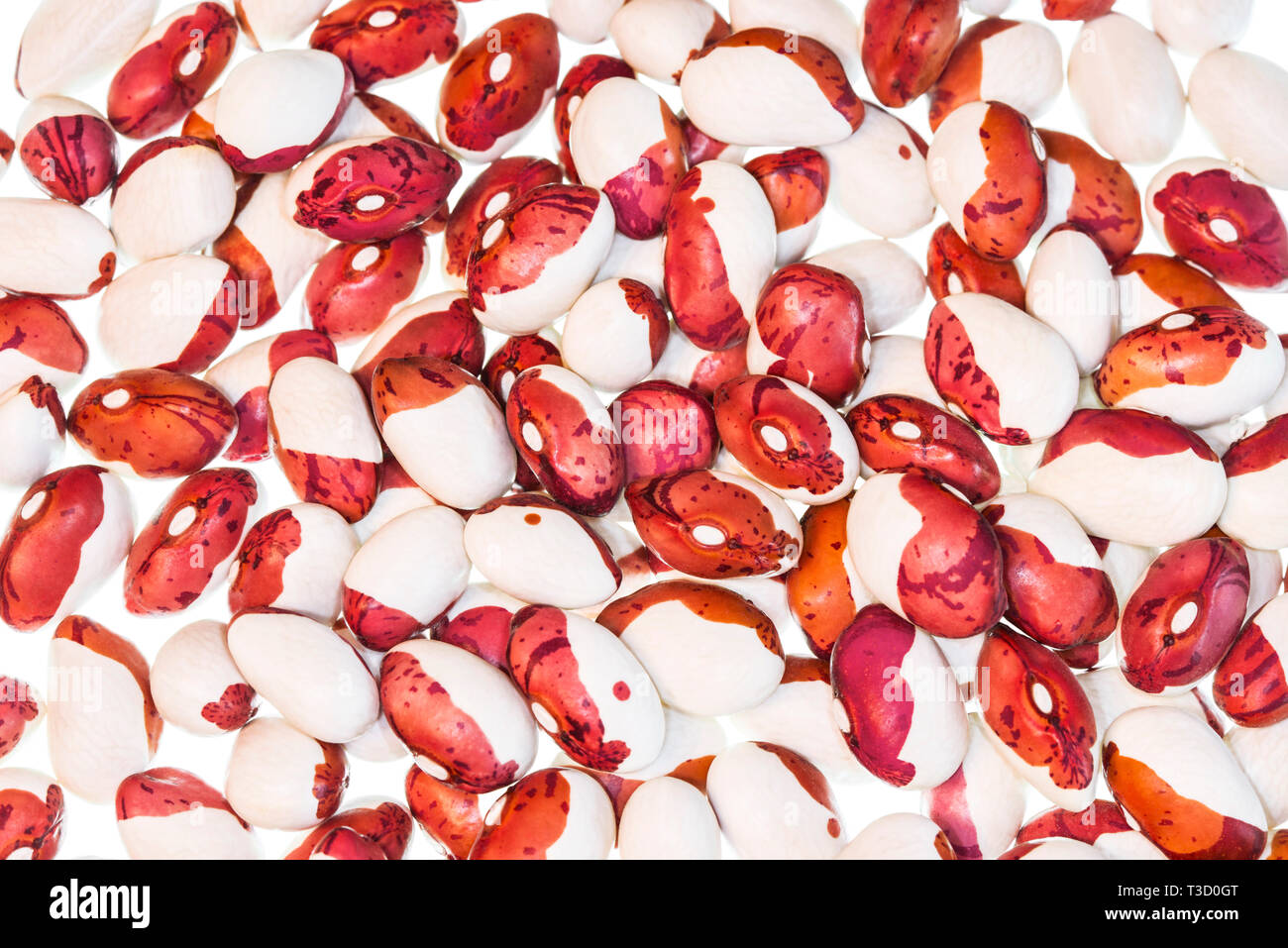 Les fèves de couleur sur un fond blanc. Arrière-plan de haricots rouges et blancs. La texture des haricots. Banque D'Images