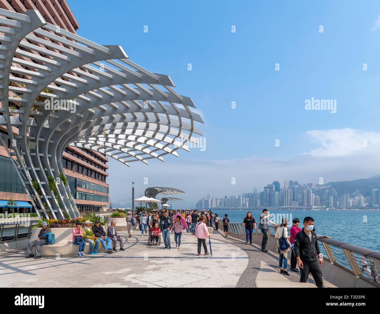 Tsim Sha Tsui, Hong Kong. L'Avenue des Stars à l'égard d'immeubles de grande hauteur sur l'île de Hong Kong, Tsim Sha Tsui, Promenade, Kowloon, Hong Kong Banque D'Images