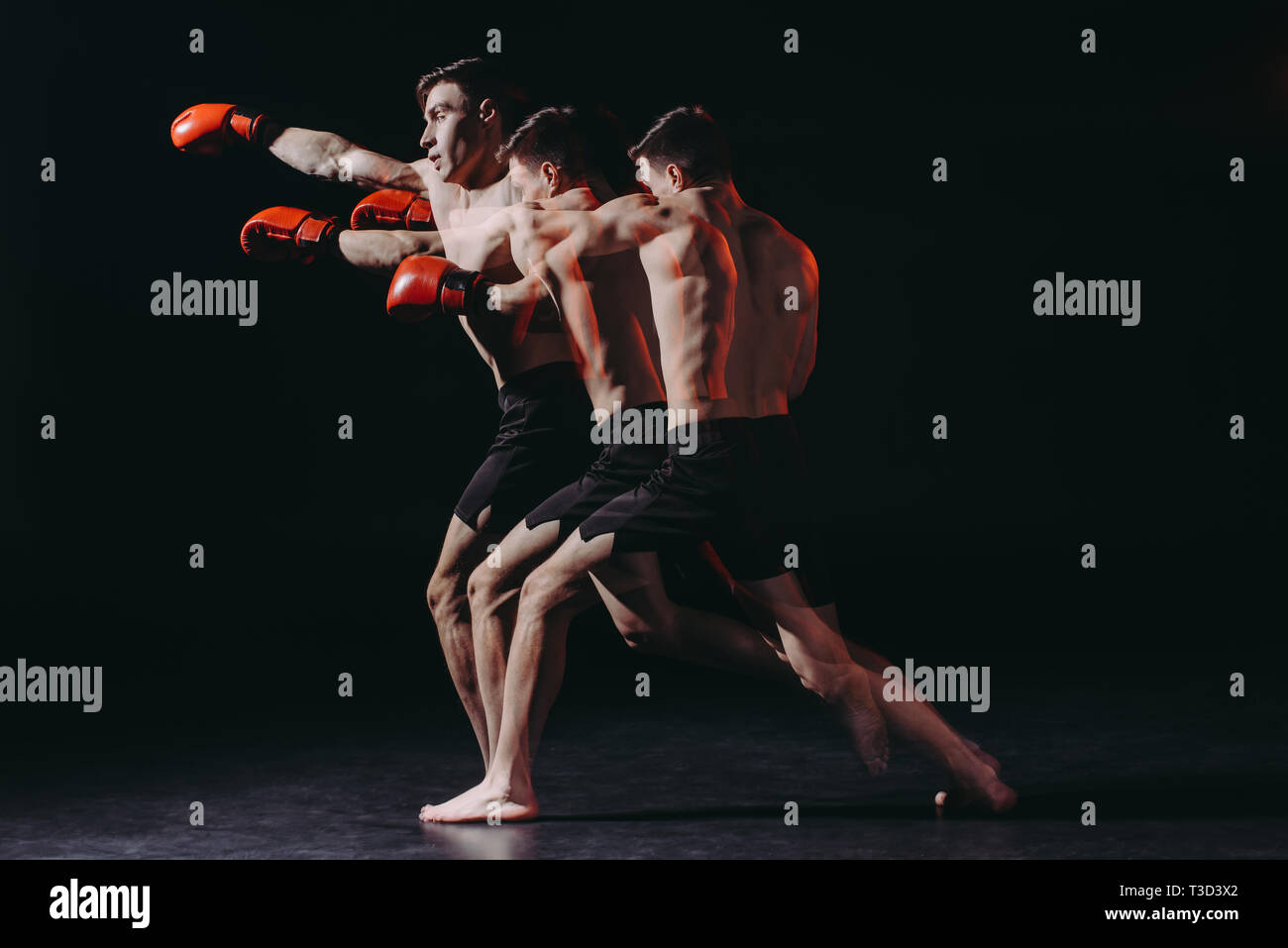 Plan séquence de torse nu en boxer musculaire des gants de boxe faisant punch Banque D'Images