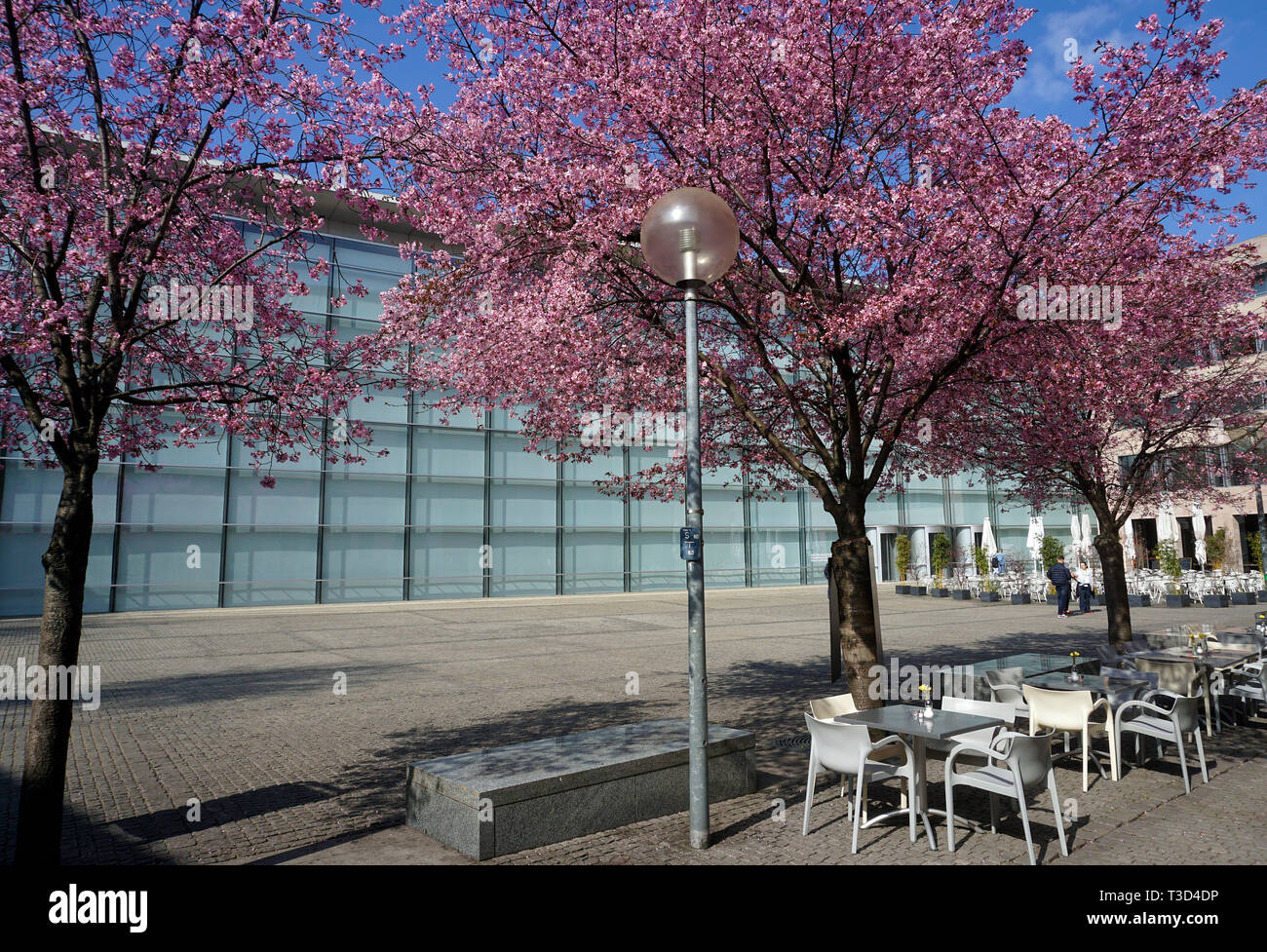 Arbres en fleurs à façade en verre de nouveau musée, musée d'art et design, Klarissen place, vieille ville de Nuremberg, Franconia, Bavaria, Germany Banque D'Images