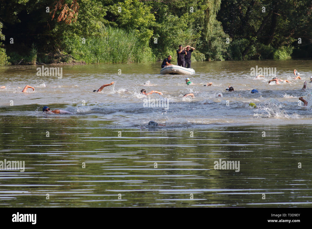 Groupe d'triathlonists la natation dans la rivière Mures au cours de la compétition nationale Banque D'Images