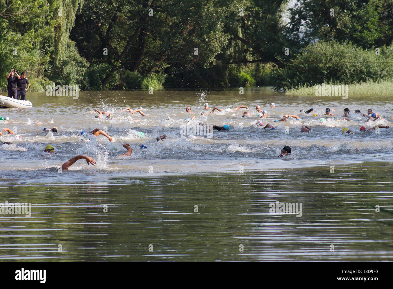 Groupe d'triathlonists la natation dans la rivière Mures au cours de la compétition nationale Banque D'Images