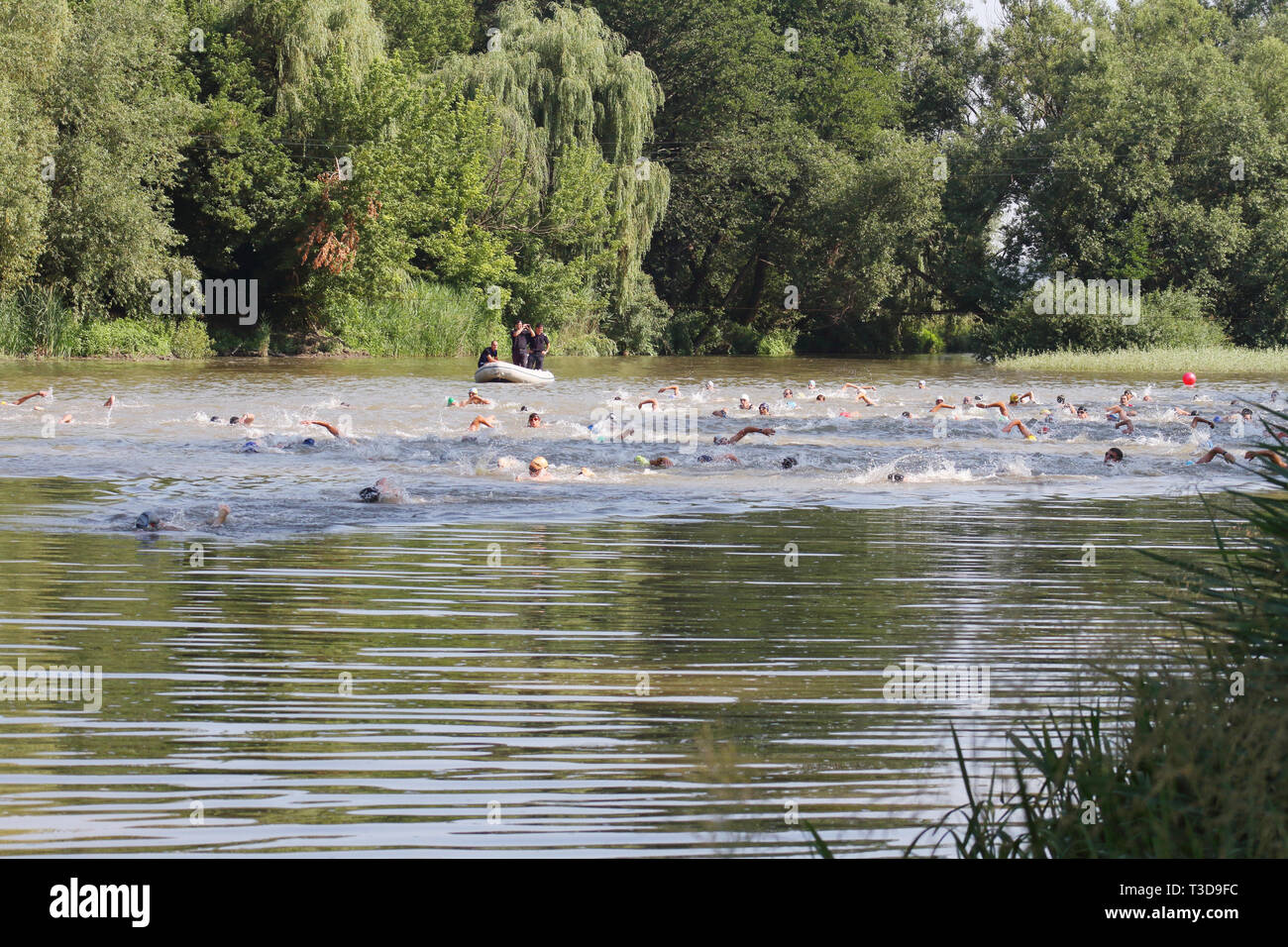 Groupe d'triathlonists la natation dans la rivière Mures au cours de la compétition nationale Banque D'Images