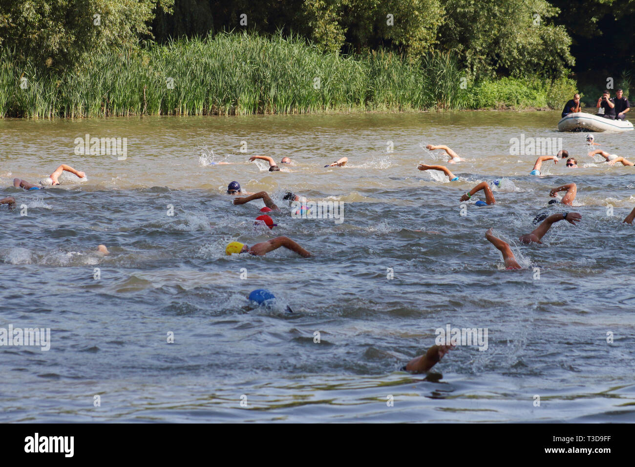 Groupe d'triathlonists la natation dans la rivière Mures au cours de la compétition nationale Banque D'Images