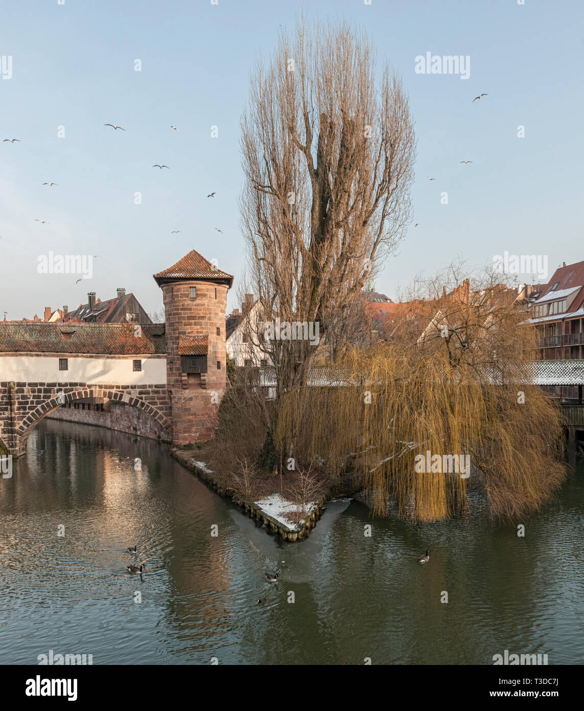 Le célèbre vin ancien Depot (Weinstadel) et château d'eau (Wasserturm) sur la rivière Pegnitz vu de Maxbrücke - Nuremberg Allemagne Banque D'Images