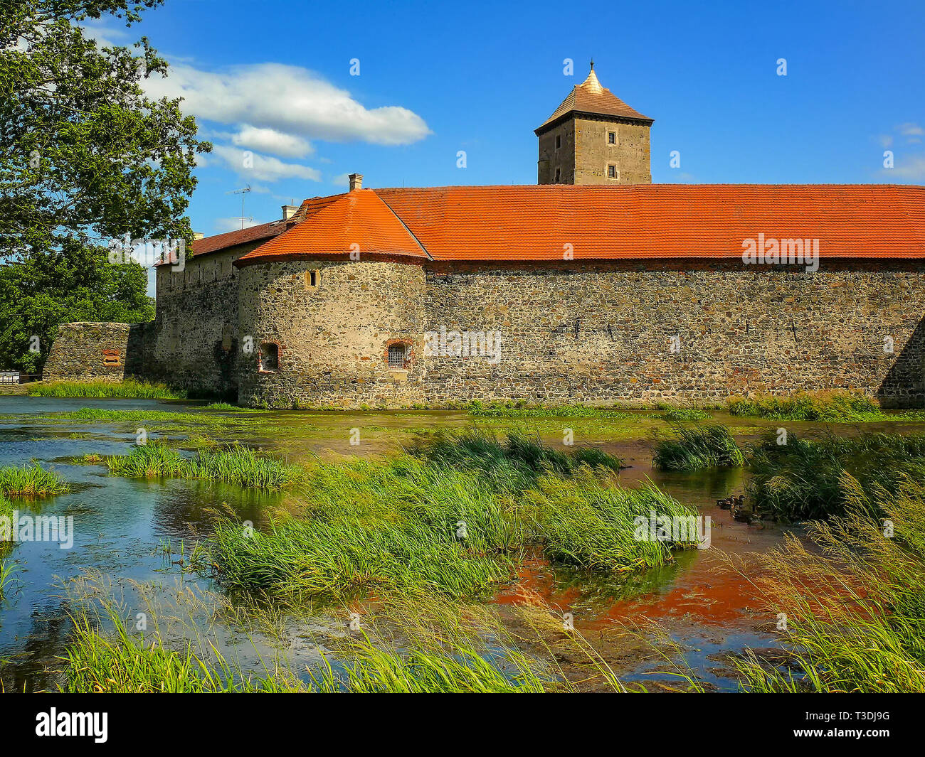 L'eau château de Svihov est situé dans la région de Pilsen, République Tchèque, Europe. Il y a canal d'eau autour du château en pierre. C'est château de la pierre Banque D'Images