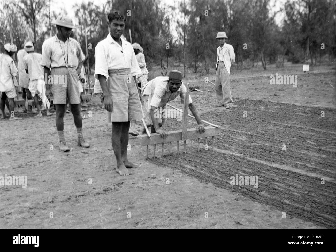 Les travailleurs des plantations semer des graines dans l'Inde britannique 1945 Banque D'Images