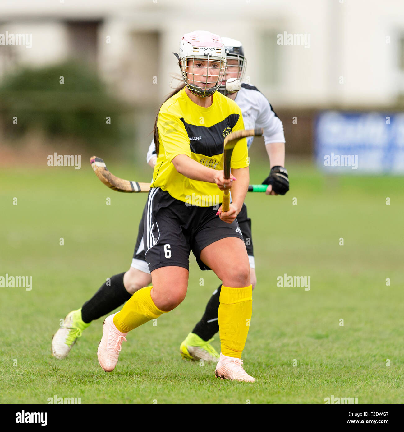 Shinty. Lovat v Fort William en Challenge Cup, les CMA ont joué à Balgate, Kiltarlity. Banque D'Images