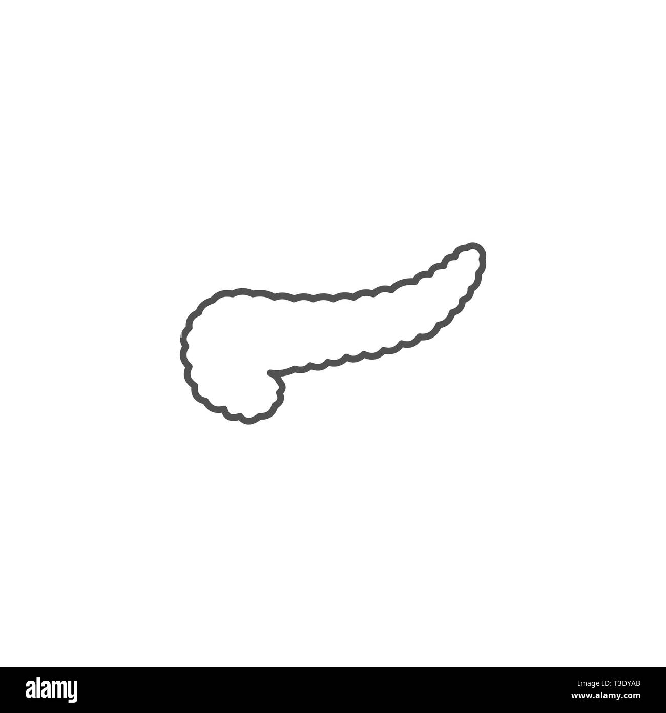 L'icône de la ligne du vecteur connexe du pancréas. Isolé sur fond blanc. Avc. modifiable Illustration de Vecteur