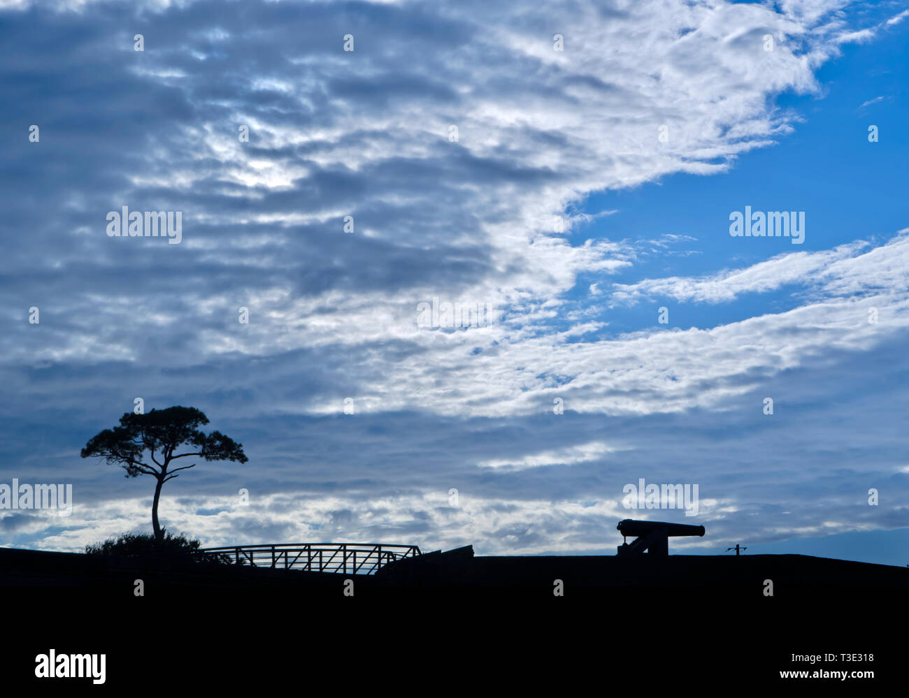 Un arbre de pin à encens et une guerre civile cannon à Fort Gaines sont silhouetté par le coucher de soleil sur Dauphin Island en Alabama 7 septembre 2012. Banque D'Images