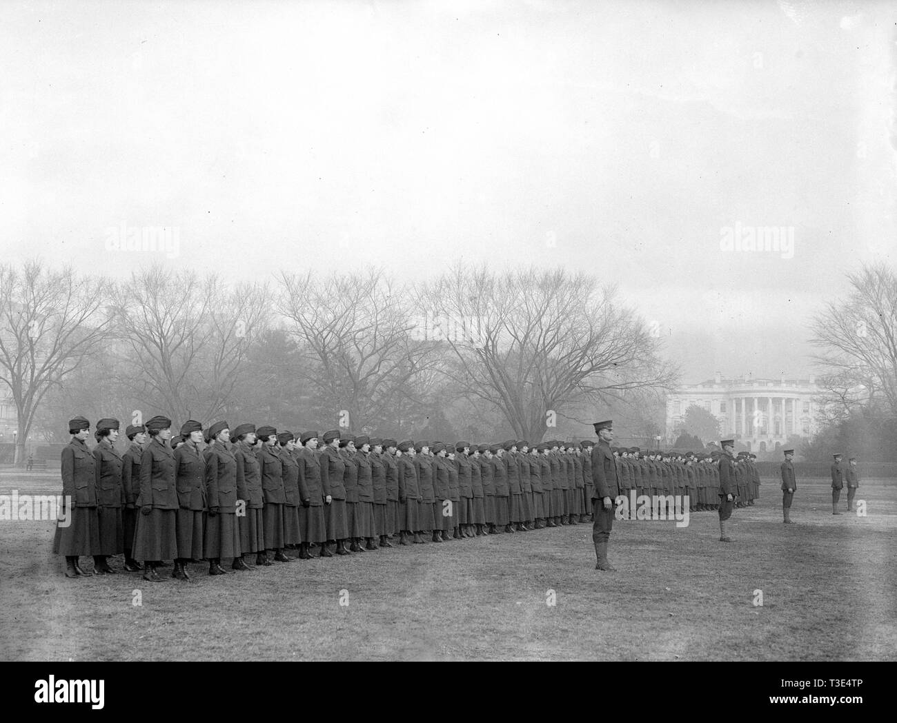 Marinettes de l'United States Marine Corps ca. 1918 (femelle Marines) Banque D'Images