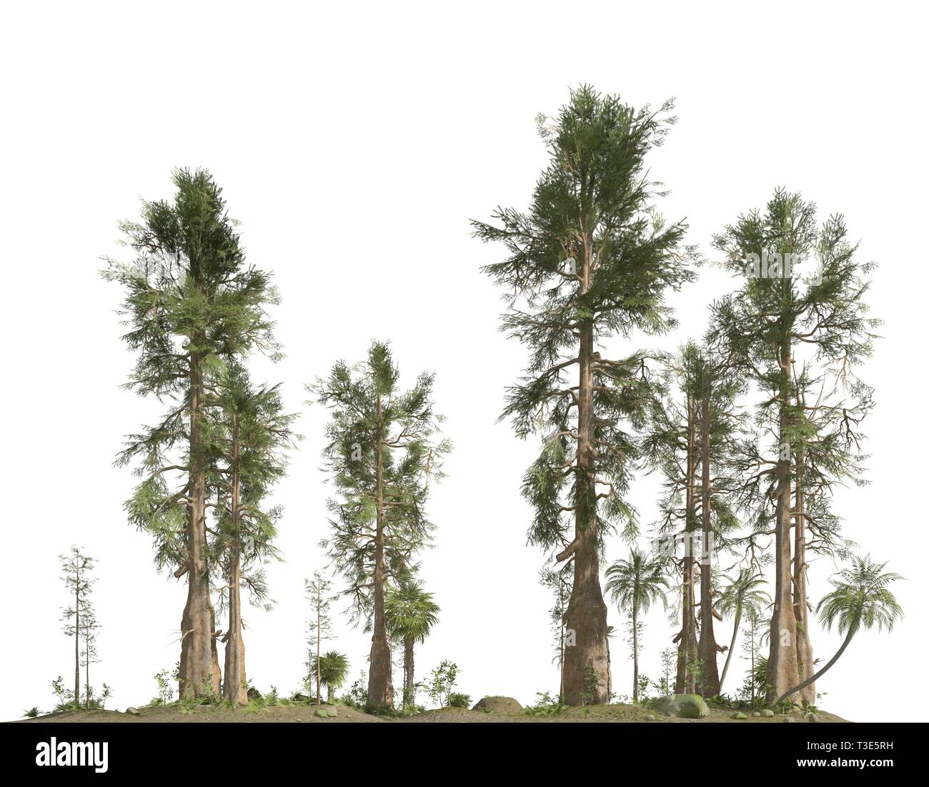 Forêt de l'ère mésozoïque isolé sur fond blanc 3D illustration Banque D'Images