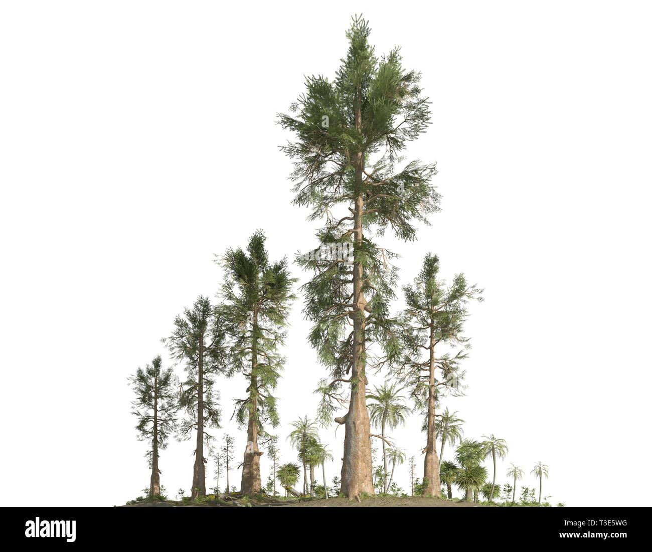 Forêt de l'ère mésozoïque isolé sur fond blanc 3D illustration Banque D'Images