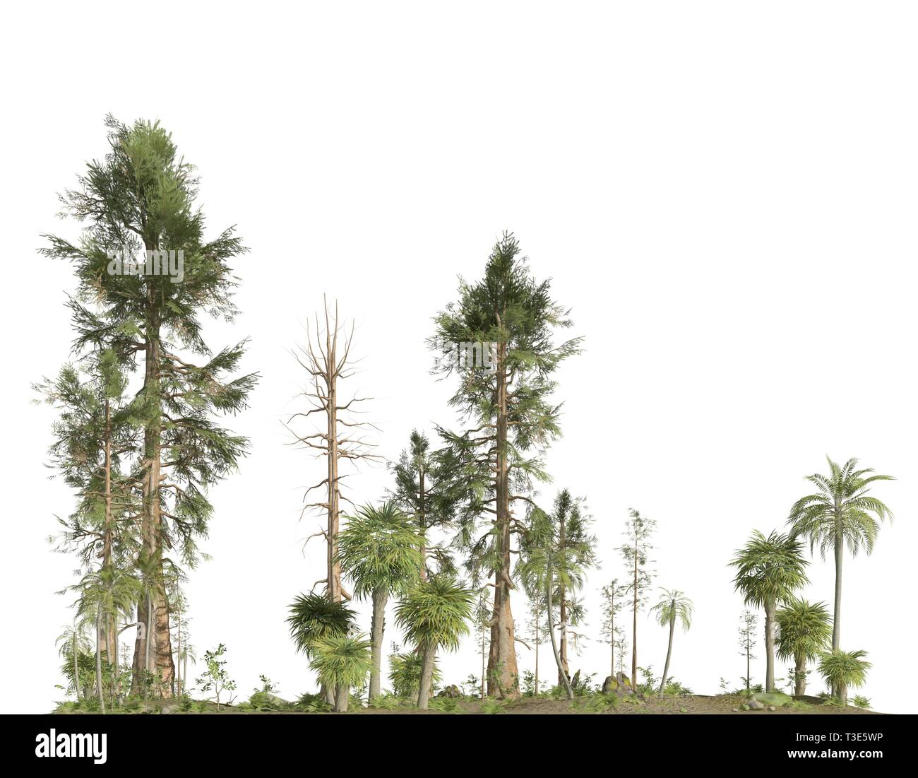 Forêt de l'ère mésozoïque isolé sur fond blanc 3D illustration Banque D'Images